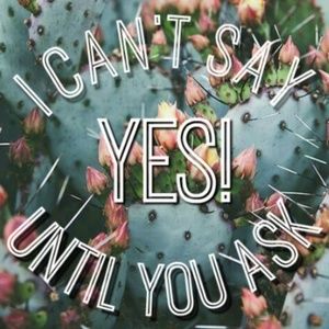 ✨🌵Make Me A Offer!🌵✨